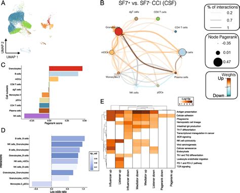 Cell-Cell Interaction Network Visualization に対する画像結果