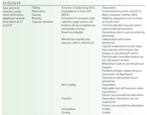 Image result for Different Sci Levels and Key Muscles