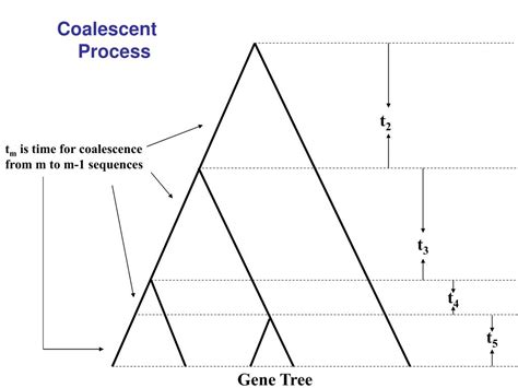 Coalescent Chart Astrology に対する画像結果