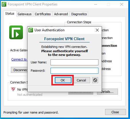 Bildergebnis für Force Point VPN