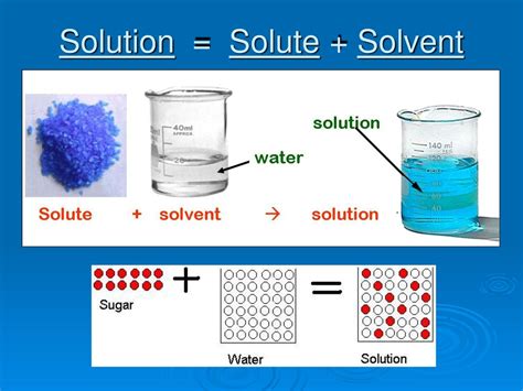 solvent に対する画像結果