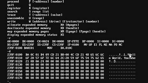 Image result for Basic X86 Assembly Program