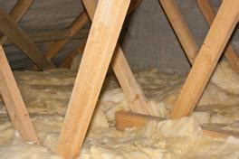 Image result for Rodent-Proof Loft Insulation
