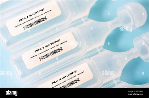 Cart PD-L1 に対する画像結果