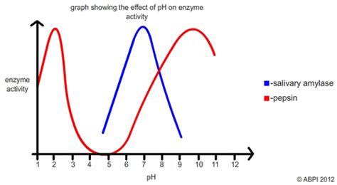 Activity Exploring Ph Relationships Answer Key に対する画像結果