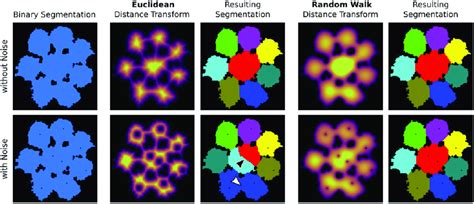 Image result for Euclidean Distance Transform for Instance Segmentation