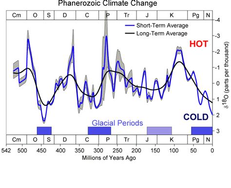 Image result for Coral Reef