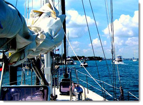 Image result for After Bow Spring Line