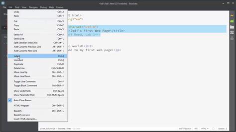 Example of Indented Codd に対する画像結果