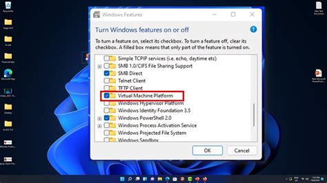 Toradh íomhá ar Platform for Virtual Machine