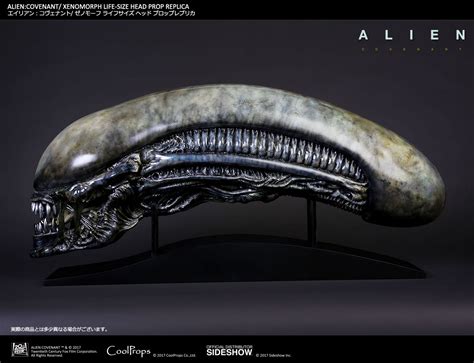 Afbeeldingsresultaten voor Alien Xenomorph Head Ai