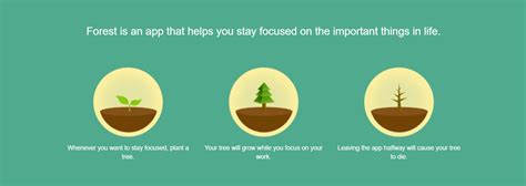 Image result for Study Software