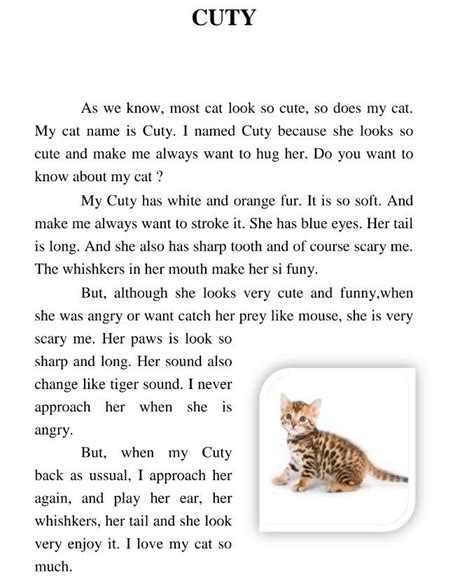 Image result for Contoh Descriptive Text About Cat