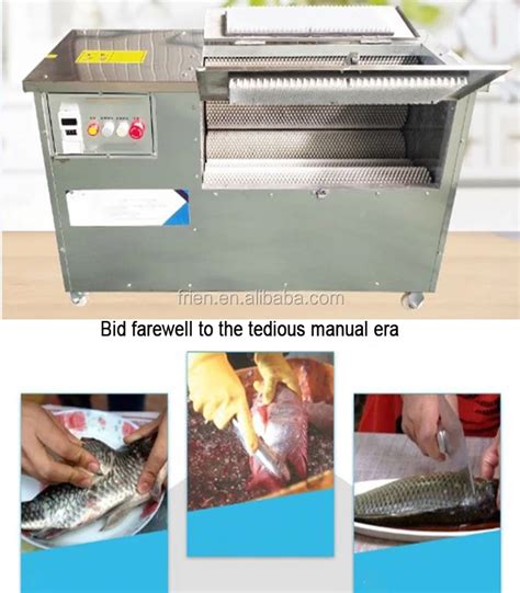 Image result for Fish Processing Tools