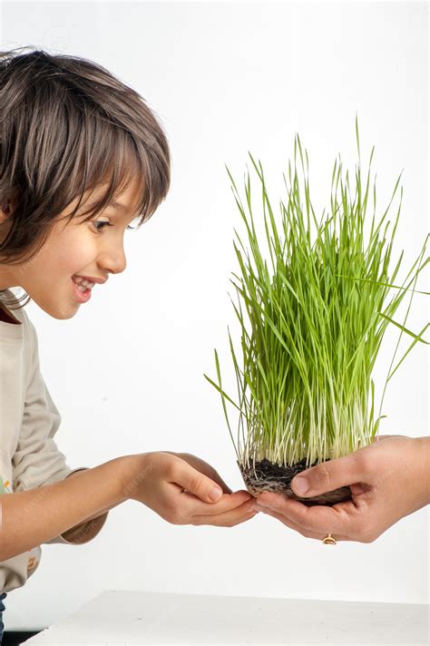 Image result for Plants Grab Boy's Arm