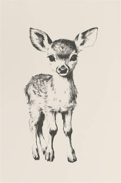 New Year Fawn Drawing に対する画像結果