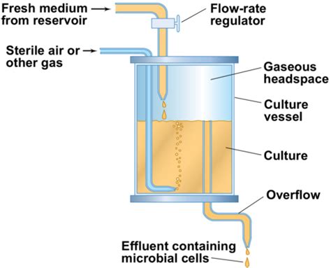 Afbeeldingsresultaten voor Microbial Growth Control