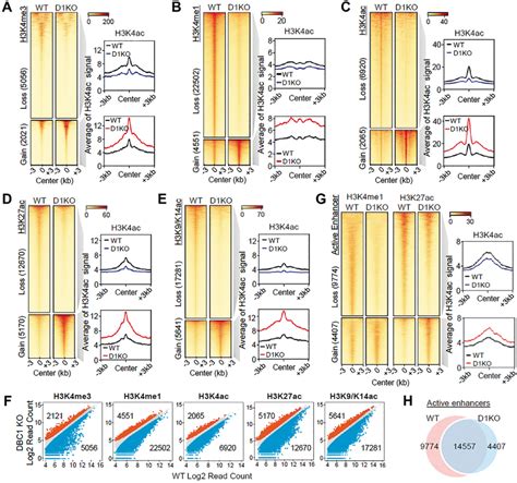 Image result for Histone Modification Map