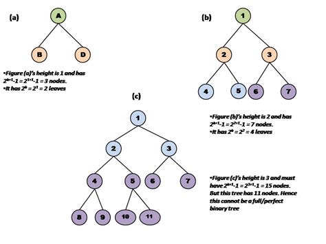 Image result for Full Binary Tree in Java