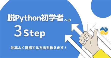 Basic Knowledge Python に対する画像結果