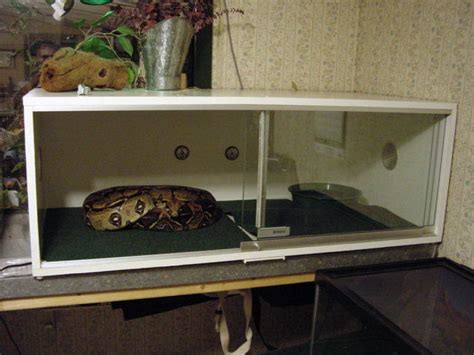 Image result for How to Build a Snake Cage Plans