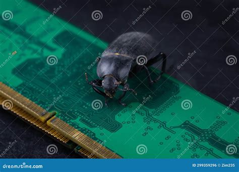 Image result for Memory Map Bug