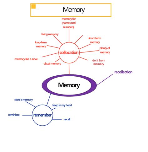 Image result for Short-Term Memory Concept Map