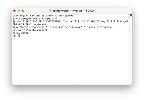 Image result for Python Spade