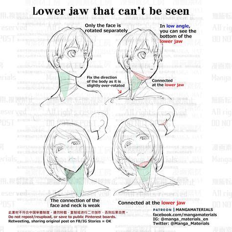 Image result for Tilted Head Reference