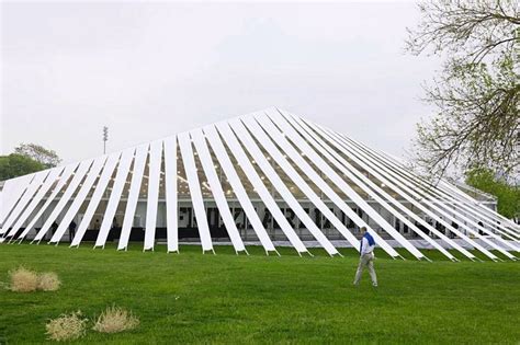 Image result for Temporary Structure Tree Shape