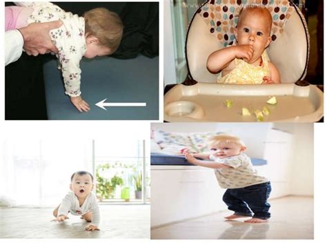 Image result for Biologic Development of Infant