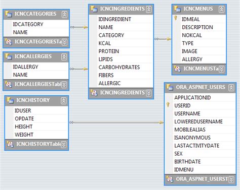 Afbeeldingsresultaten voor Database Structure of Oracle Application