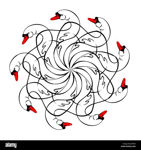 Image result for Swan Graphic