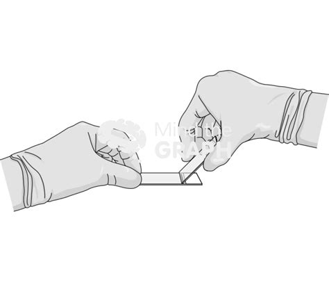 Free Blood smear film procedure 2 Icons, Symbols, Pictures, and Images ...