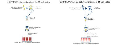 Afbeeldingsresultaten voor PolyJet Transfection Reagent