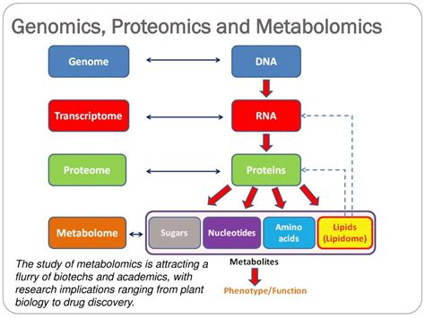 Transcriptomics vs Proteomics に対する画像結果