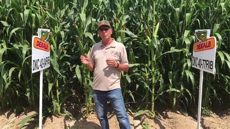 Image result for Crop Symbol