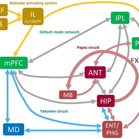 Afbeeldingsresultaten voor Memory Process Diagram