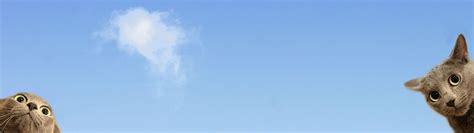 Afbeeldingsresultaten voor Philips TV Dual Screen