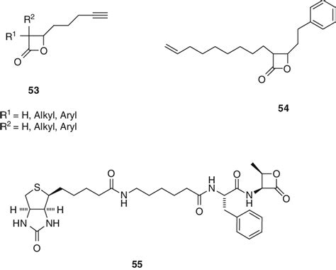 Image result for Lactone Examples