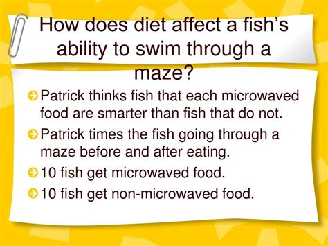 Image result for Science Experiments Variables