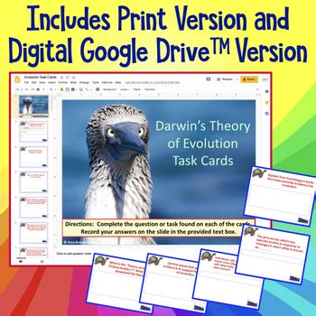 Evolution and Natural Selection Task Cards に対する画像結果