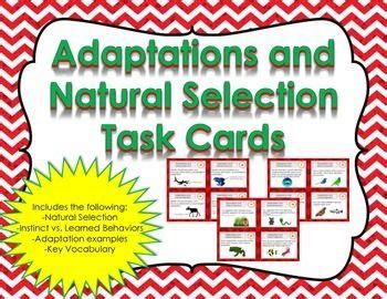 Evolution and Natural Selection Task Cards に対する画像結果