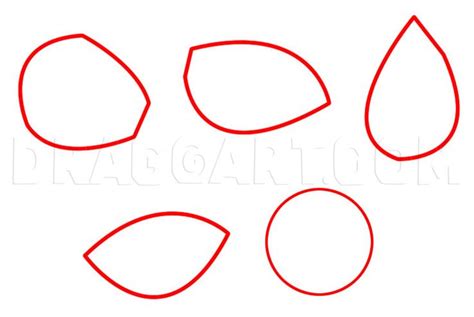 Image result for Shells Step by Step