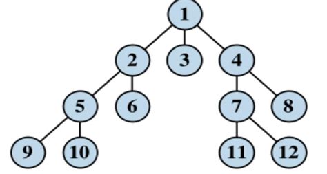 Image result for Breadth First Search in Graph Theory