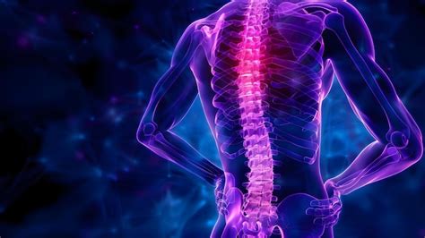 Solid Red Color On Lower Left Back に対する画像結果