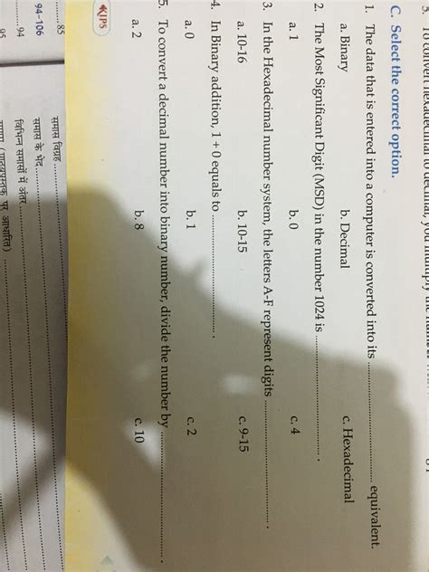 Multiple Binary Choice Questions に対する画像結果