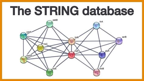 Image result for String Database Icon