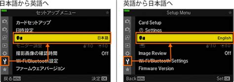 Language Features Display に対する画像結果