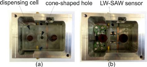 Image result for Testing Cell SW